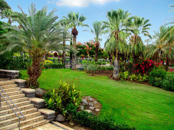 Gardens at Mt. Beatitudes Israel photo by Brian Tada to the glory of God